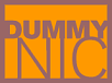 provided by DummyNIC
